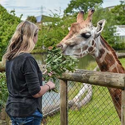 Chester Zoo
