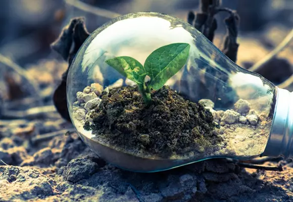 Pexels Singkham 1108572