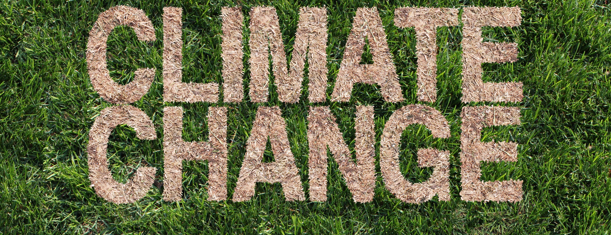 Untitled (1950 X 750 Px) (4) (2)