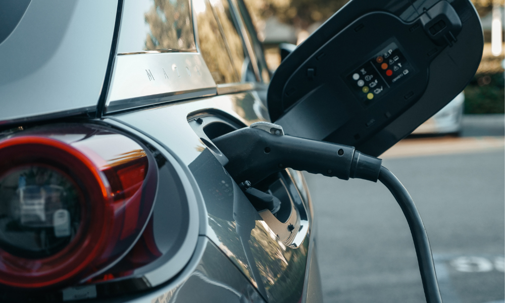 Untitled Design (50)