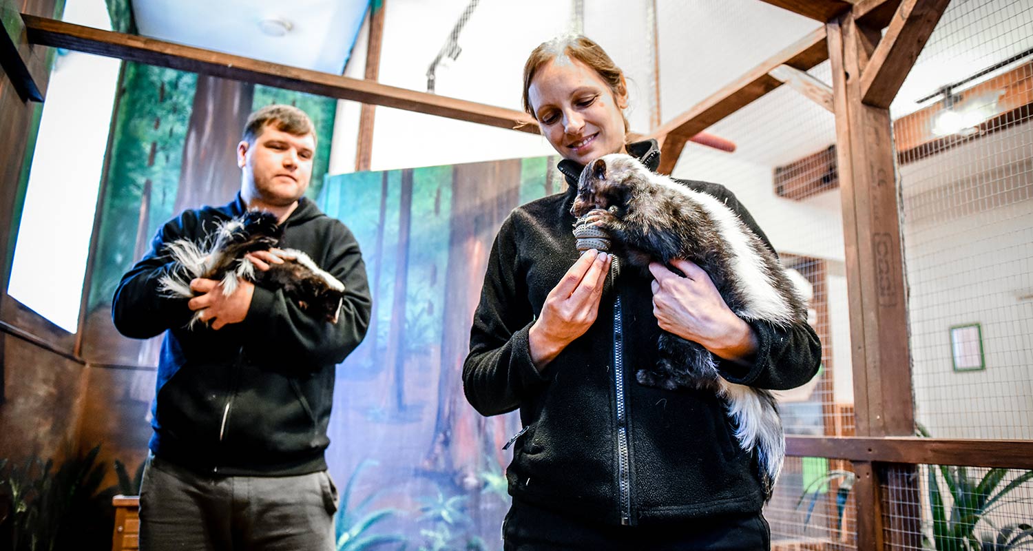 M2M02-CaseStudiesZoo2u