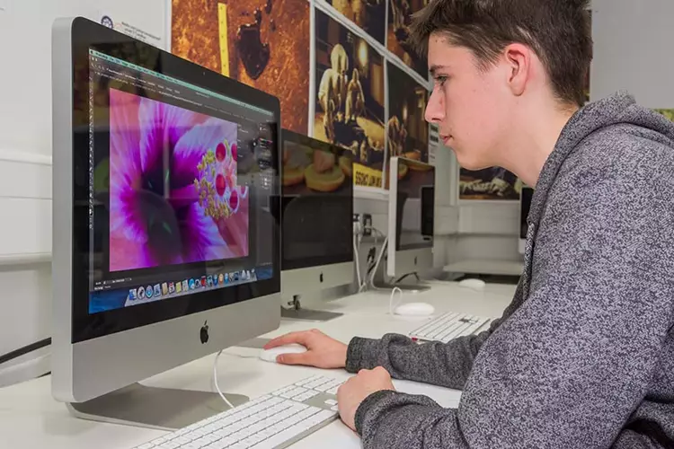 M2M02 Digital Skills Partnership