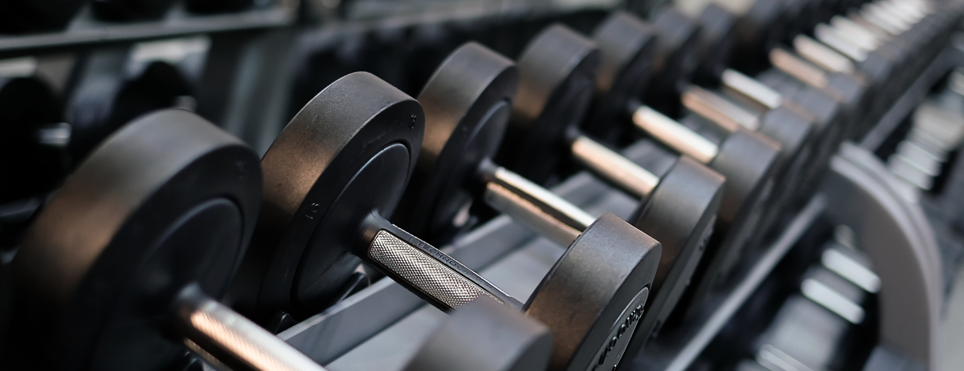 Untitled (1950 X 750 Px) (5)